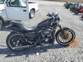  Salvage Harley-Davidson Xl883 N