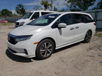  Salvage Honda Odyssey