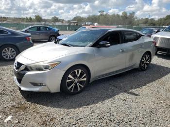  Salvage Nissan Maxima