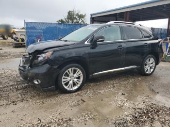  Salvage Lexus RX