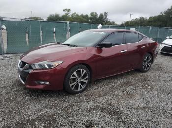  Salvage Nissan Maxima