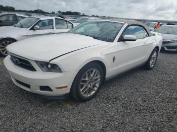  Salvage Ford Mustang