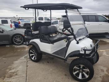  Salvage Evol Golf Cart