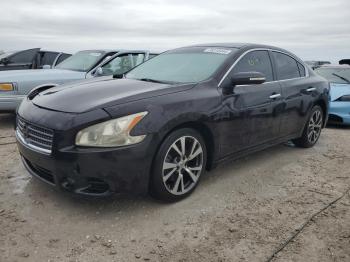  Salvage Nissan Maxima