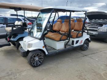  Salvage Tomb Golf Cart