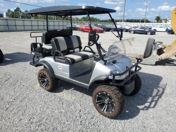  Salvage Evol Golf Cart