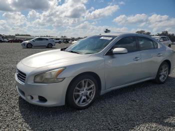  Salvage Nissan Maxima