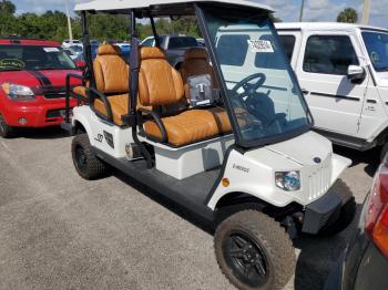  Salvage Tomb Golf Cart