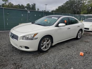  Salvage Nissan Maxima