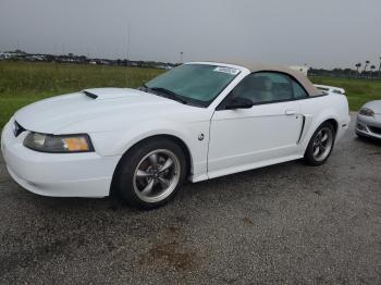  Salvage Ford Mustang