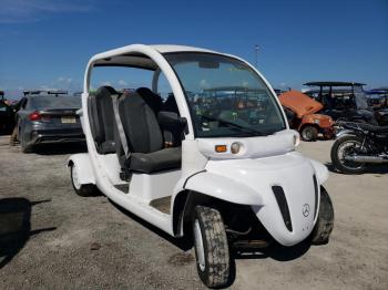  Salvage Global Electric Moto Cart