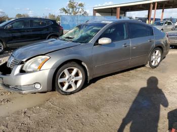  Salvage Nissan Maxima