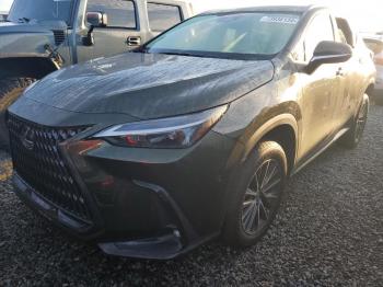  Salvage Lexus NX