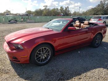  Salvage Ford Mustang