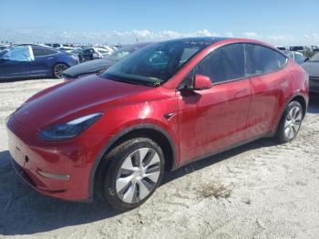  Salvage Tesla Model Y