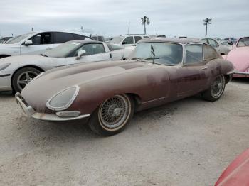  Salvage Jaguar XK