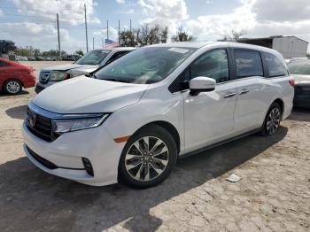  Salvage Honda Odyssey