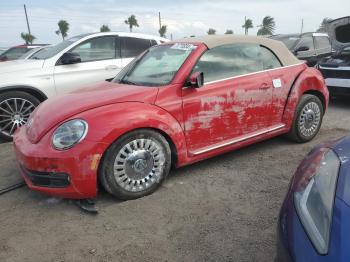  Salvage Volkswagen Beetle