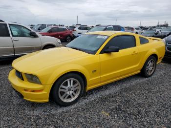  Salvage Ford Mustang