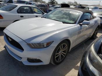  Salvage Ford Mustang