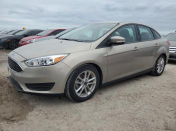  Salvage Ford Focus