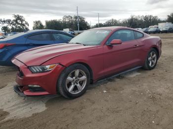  Salvage Ford Mustang