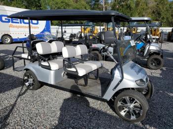  Salvage Other Golf Cart