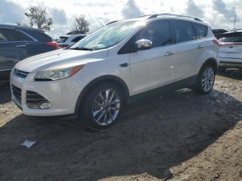  Salvage Ford Escape