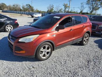  Salvage Ford Escape