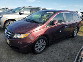  Salvage Honda Odyssey