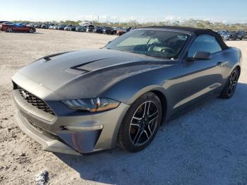  Salvage Ford Mustang