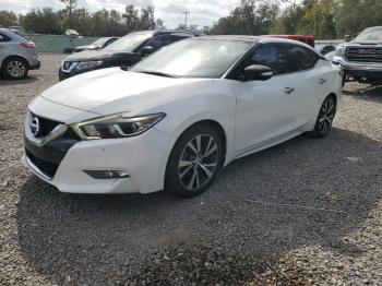  Salvage Nissan Maxima