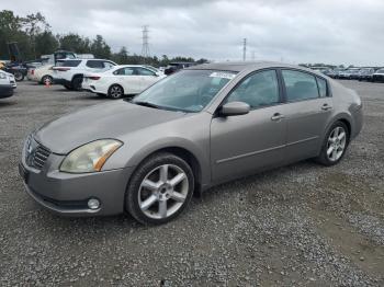  Salvage Nissan Maxima