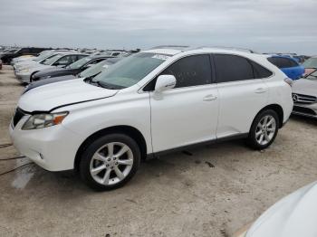  Salvage Lexus RX