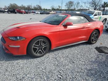  Salvage Ford Mustang