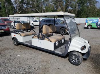  Salvage Crus Golfcart