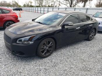  Salvage Nissan Maxima