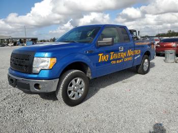  Salvage Ford F-150