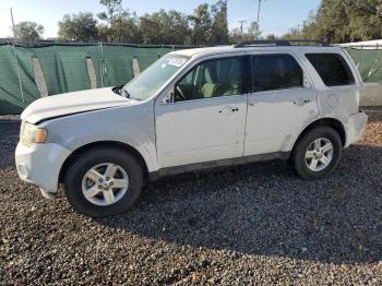  Salvage Ford Escape