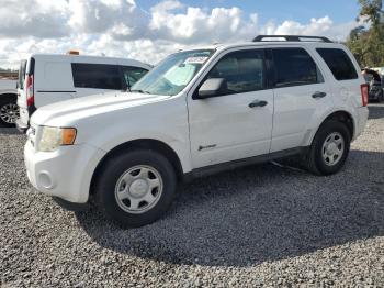  Salvage Ford Escape