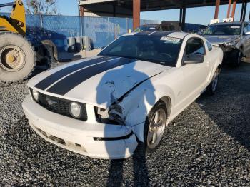  Salvage Ford Mustang