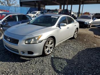  Salvage Nissan Maxima