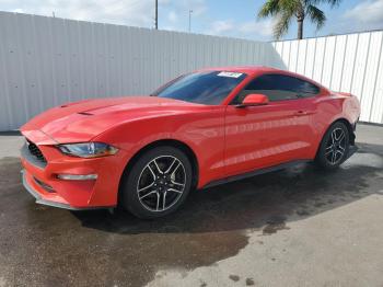  Salvage Ford Mustang