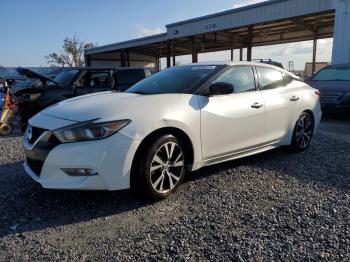  Salvage Nissan Maxima