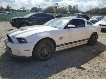  Salvage Ford Mustang