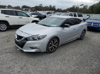  Salvage Nissan Maxima