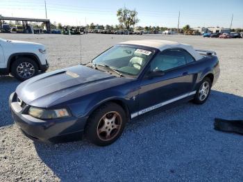  Salvage Ford Mustang