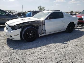  Salvage Ford Mustang