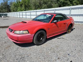  Salvage Ford Mustang