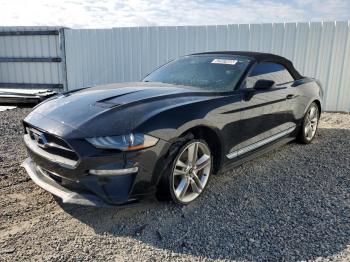  Salvage Ford Mustang